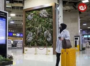 ضرب‌الاجل سازمان بازرسی به ایرلاین‌ها؛ پول بلیط‌ها بازگردانده شود