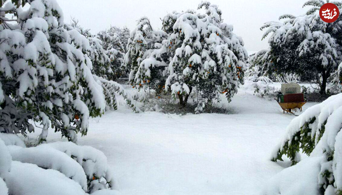 حوادث مرگبار و دردسرهای برفی
