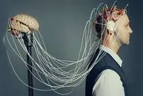 خواندن کلمات به طور مستقیم از مغز چگونه ممکن شد؟