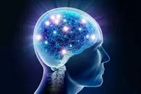 هوش سیال چیست و چه کمکی به ما می‌کند؟