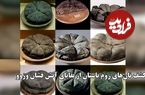 ببینید؛ کشف نان‌های ۲۰۰۰ ساله در پمپیی؛ شواهدی از زندگی روزمره در آستانه فاجعه آتشفشانی