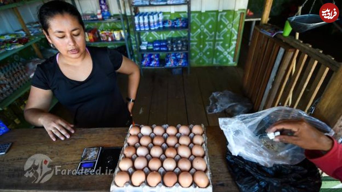 ۱۴۴ تخم مرغ، دستمزد یک ماه کارمندان ونزوئلا!