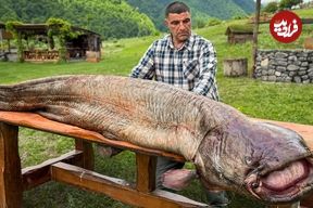 ببینید؛ غذای روستایی در آذربایجان؛ کباب کردن یک گربه ماهی غول پیکر در طبیعت