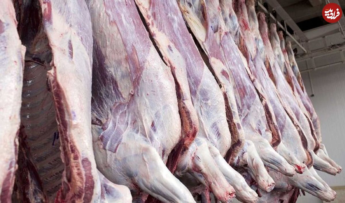 آخرین خبر از واردات گوشت