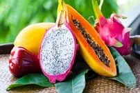 این میوه‌های خارجی لاکچری را باید از طلا فروشی بخرید!