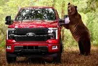 تصاویر| نبرد خرس گریزلی با فورد F-۱۵۰؛ عجیب‌ترین تبلیغ خودرویی سال