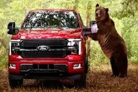 تصاویر| نبرد خرس گریزلی با فورد F-۱۵۰؛ عجیب‌ترین تبلیغ خودرویی سال