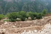 تصاویر/ رانش زمین در گیلان