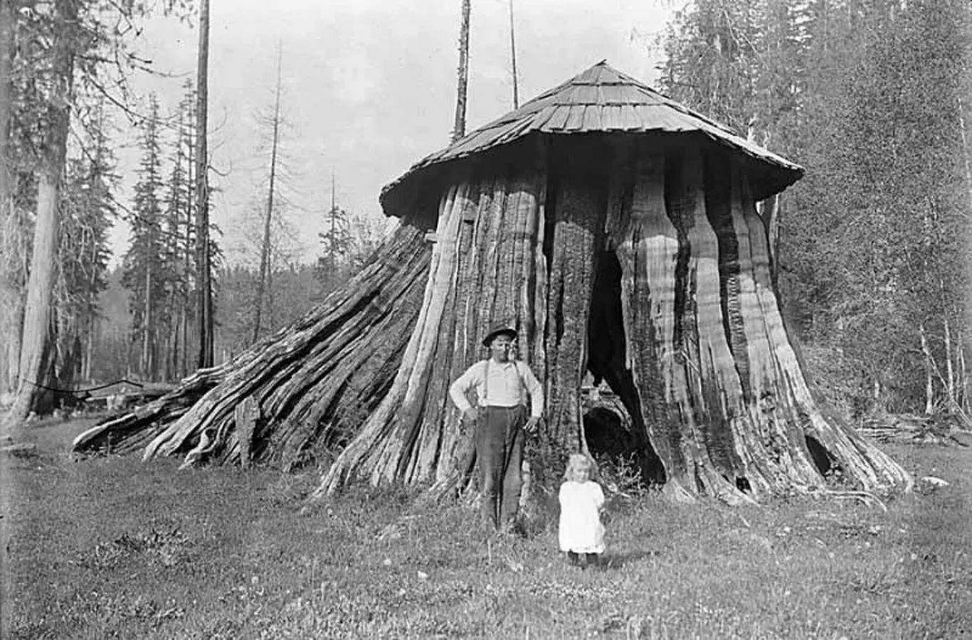 زندگی در کُندۀ درخت در اوایل قرن بیستم! (تصاویر)