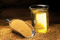 معجزه روغن سویا در توقف ریزش مو