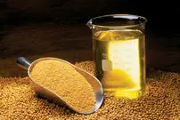 معجزه روغن سویا در توقف ریزش مو