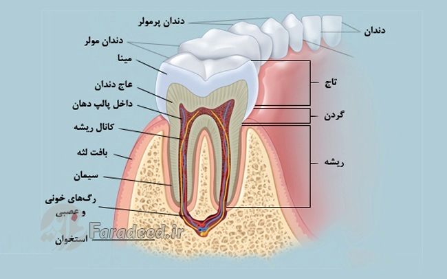 درمان درد دندان در چند دقیقه