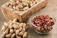 روشی برای کاهش حساسیت به بادام زمینی