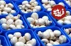 قارچ ارزان شد؛ قیمت جدید کیلویی چند عرضه می‌شود؟