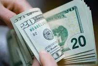 افزایش غیرمنتظره  قیمت دلار