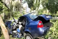 عکس/ تصادف وحشتناک تیبا با درختان اتوبان
