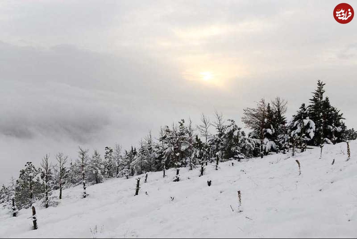 برف در راه چهار استان
