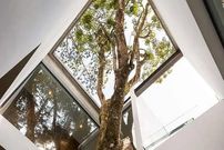 تصاویر؛ وقتی معماری، هم ترمیم‌کننده است و هم پناهگاهی برای آرامش