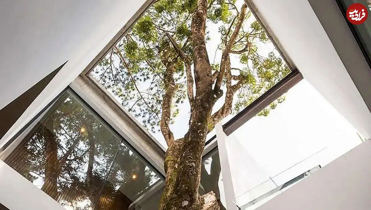 تصاویر؛ وقتی معماری، هم ترمیمکننده است و هم پناهگاهی برای آرامش