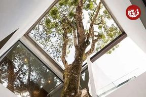 تصاویر؛ وقتی معماری، هم ترمیم‌کننده است و هم پناهگاهی برای آرامش