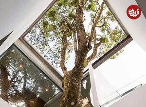 تصاویر؛ وقتی معماری، هم ترمیم‌کننده است و هم پناهگاهی برای آرامش