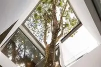 تصاویر؛ وقتی معماری، هم ترمیم‌کننده است و هم پناهگاهی برای آرامش