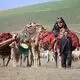 عکس| سفر زمان؛ تصویری از کوچ ایل قشقایی از بوشهر به شیراز؛ سال 94 سال قبل