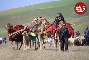عکس| سفر زمان؛ تصویری از کوچ ایل قشقایی از بوشهر به شیراز؛ سال 94 سال قبل
