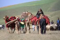 عکس| سفر زمان؛ تصویری از کوچ ایل قشقایی از بوشهر به شیراز؛ سال 94 سال قبل
