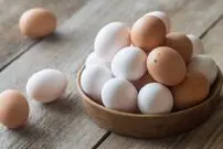 واردات تخم مرغ خوراکی از ترکیه