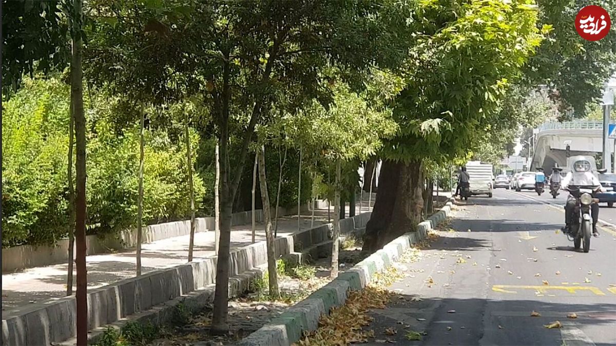 خزان زودرس در تهران!