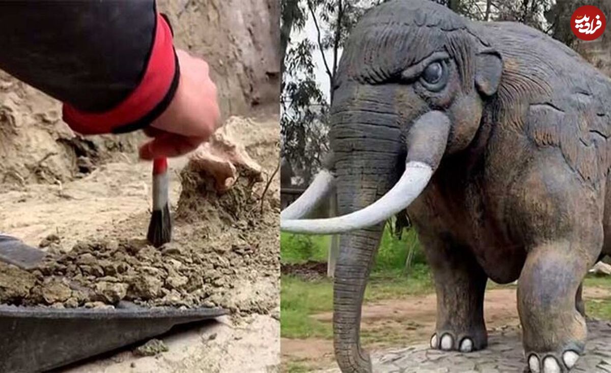 کشف بقایای فیل ۱۲ هزار ساله