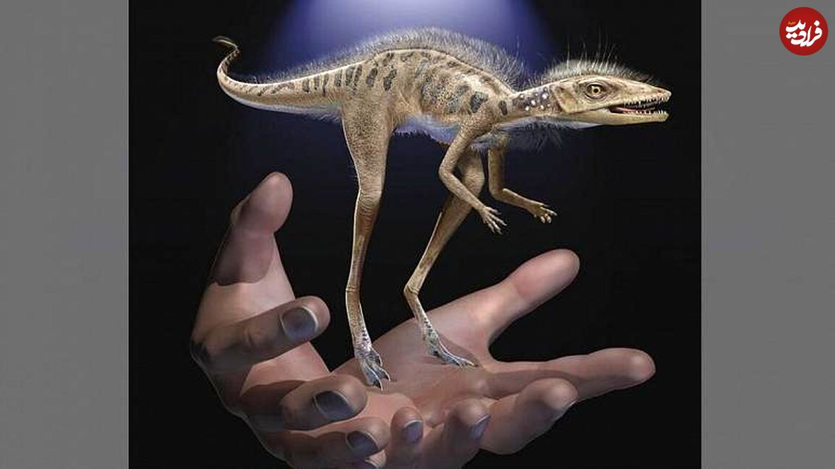 کشف فسیل دایناسوری کوچکتر از تلفن همراه