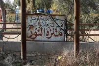 تصاویر/ دو بازمانده قحطی‌زده باغ‌وحش موصل