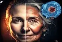 کشف اکسیر حیات؛ پایان دوران فرسودگی؛ دانشمندان راه بازگشت به ۲۰ سالگی را پیدا کردند!