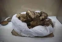 کشف ۶ کودک مومیایی شده در پرو که برای همراهی مردی نجیب‌زاده قربانی شده بودند