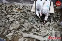 ۶ کشف پربیننده باستانی در طول ۲۴ ساعت گذشته