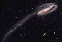 (عکس) بچه قورباغه خارق العاده را در آسمان ببینید
