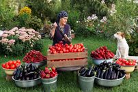 ببینید؛ غذای روستایی در آذربایجان؛ پخت دلمه بادمجان گوشت و پنیر 