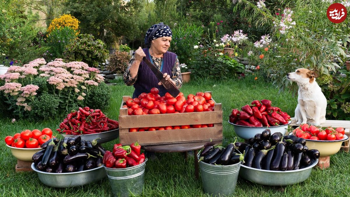 ببینید؛ غذای روستایی در آذربایجان؛ پخت دلمه بادمجان گوشت و پنیر 