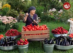 ببینید؛ غذای روستایی در آذربایجان؛ پخت دلمه بادمجان گوشت و پنیر 