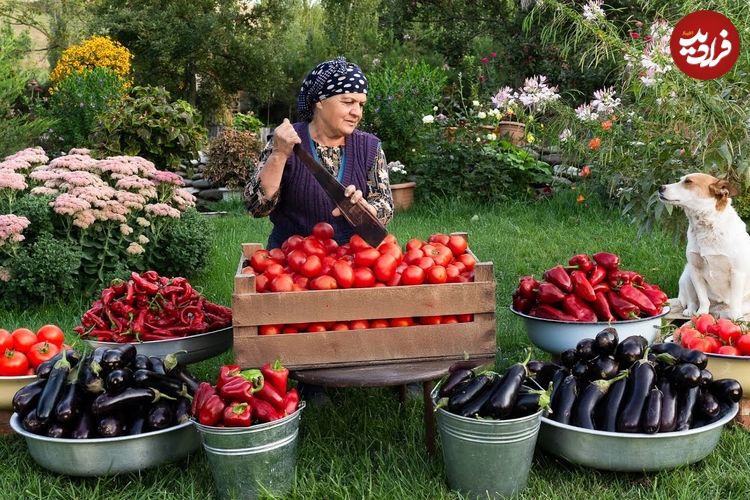 ببینید؛ غذای روستایی در آذربایجان؛ پخت دلمه بادمجان گوشت و پنیر 