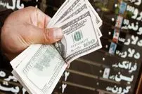 آیا دولت پشت نوسان ارزی است؟