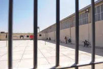 محفل سخاوت