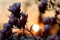 تصویر حیرت انگیز از اعتدال بهاری