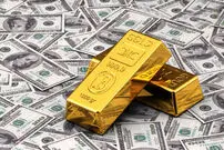 افزایش قیمت دلار و سکه