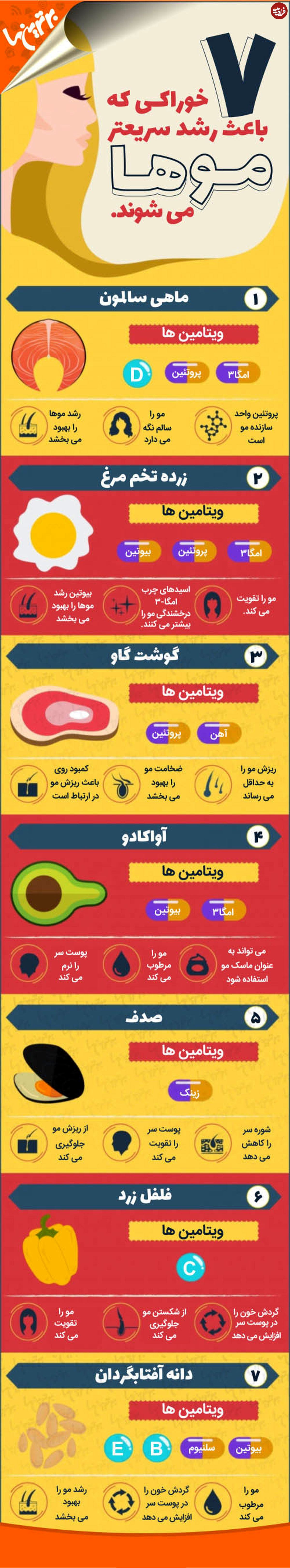 اینفوگرافی/ ۷ خوراکی که باعث رشد سریعتر موها می‌شوند