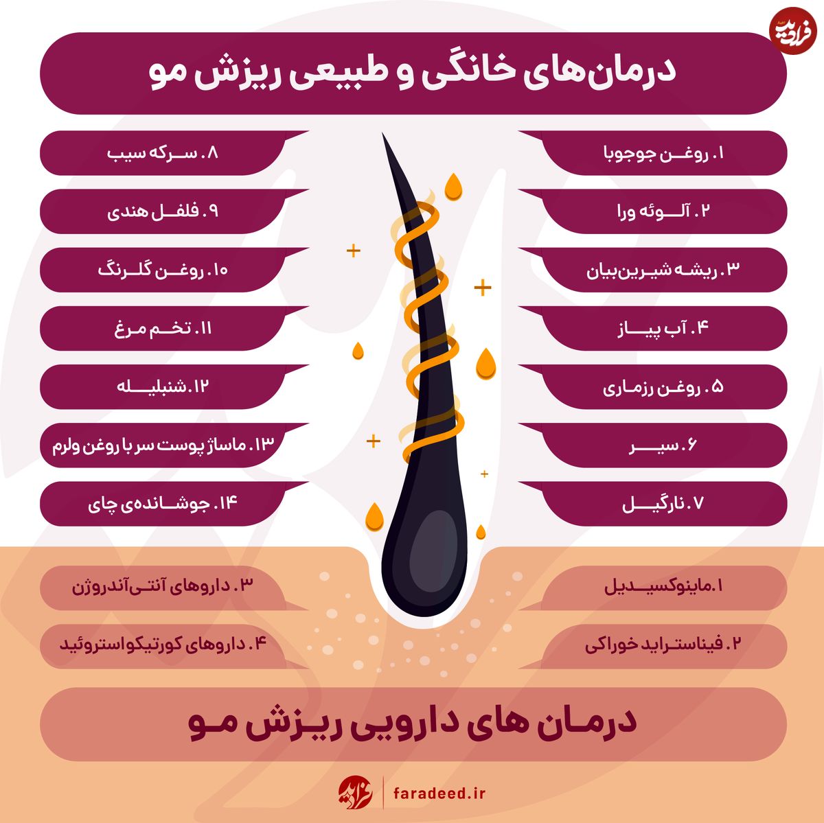 اینفوگرافی/ برای درمان ریزش مو چه باید کرد؟