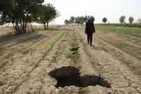 مهاجران آب