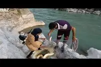 (ویدئو) ماهیگیری استادانه و تماشایی یک خانواده عشایر ایرانی کنار یک رودخانه خروشان